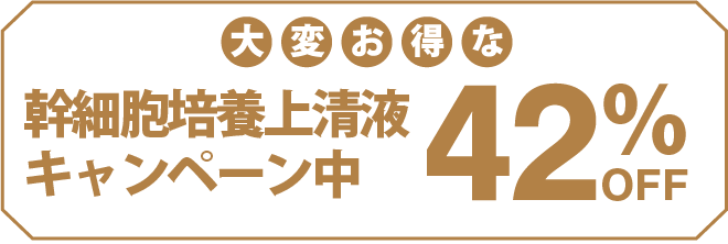 キャンペーン中