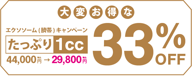 キャンペーン中