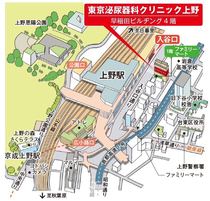 マップイメージ